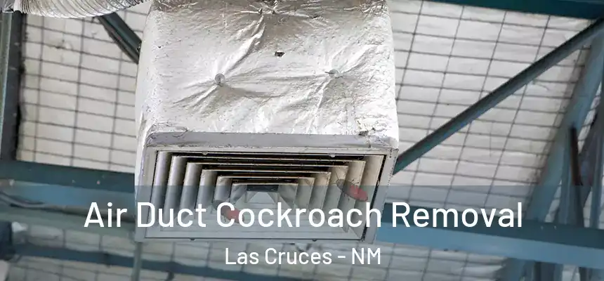 Air Duct Cockroach Removal Las Cruces - NM