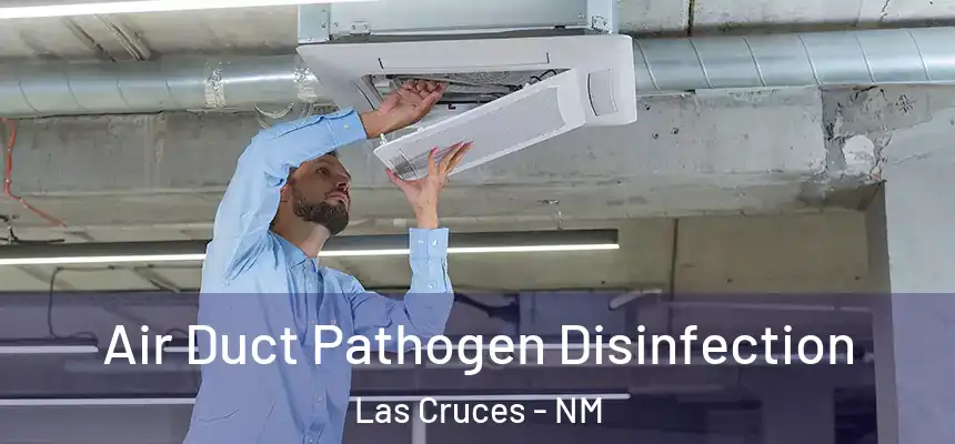  Air Duct Pathogen Disinfection Las Cruces - NM