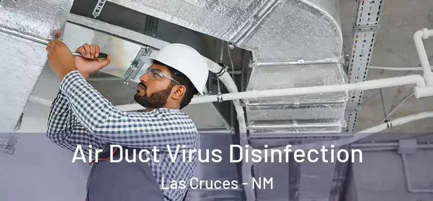  Air Duct Virus Disinfection Las Cruces - NM