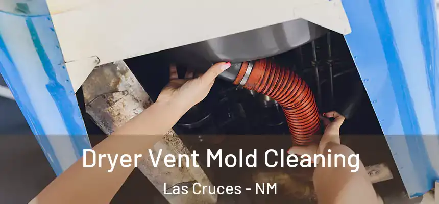 Dryer Vent Mold Cleaning Las Cruces - NM