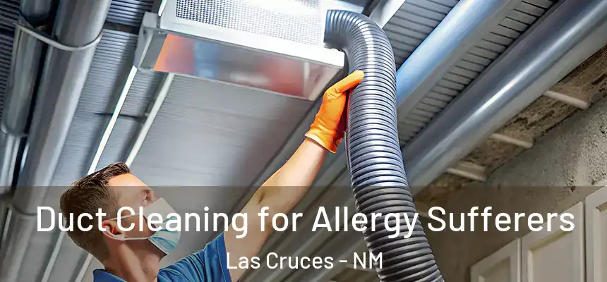  Duct Cleaning for Allergy Sufferers Las Cruces - NM