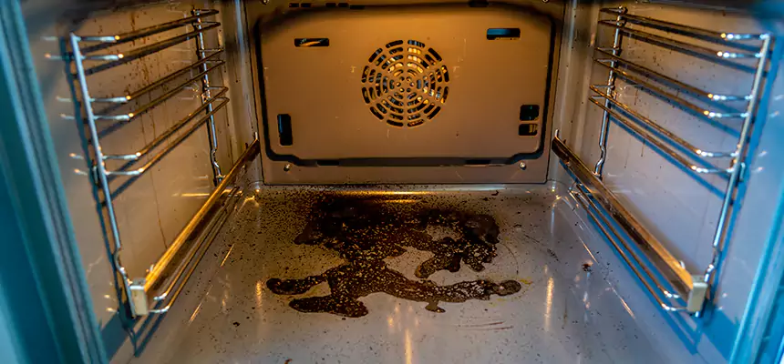 Our Dryer Vent Mold Cleaning Services in Las Cruces, NM