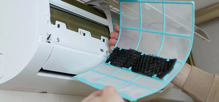 Gentle Ductwork Odor-Control Pet Dander Duct Cleaning in Las Cruces, NM