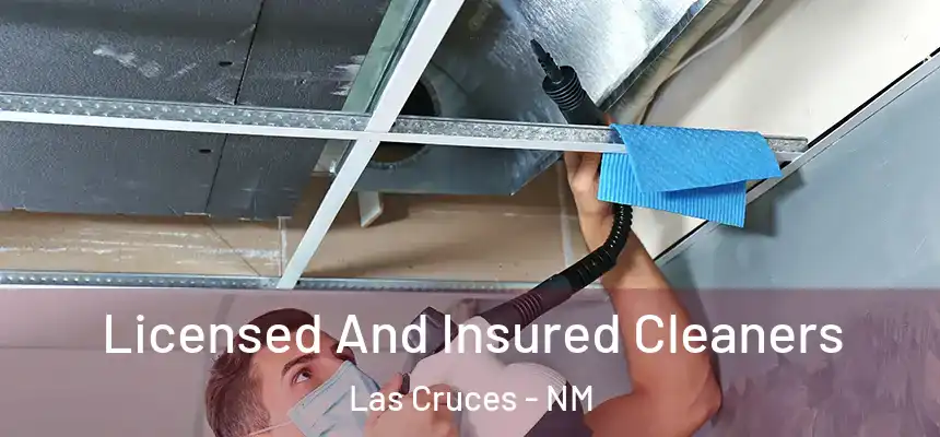  Licensed And Insured Cleaners Las Cruces - NM