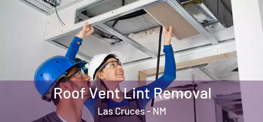 Roof Vent Lint Removal Las Cruces - NM