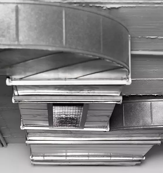 Professional Air Duct Pest Removal in Las Cruces, NM