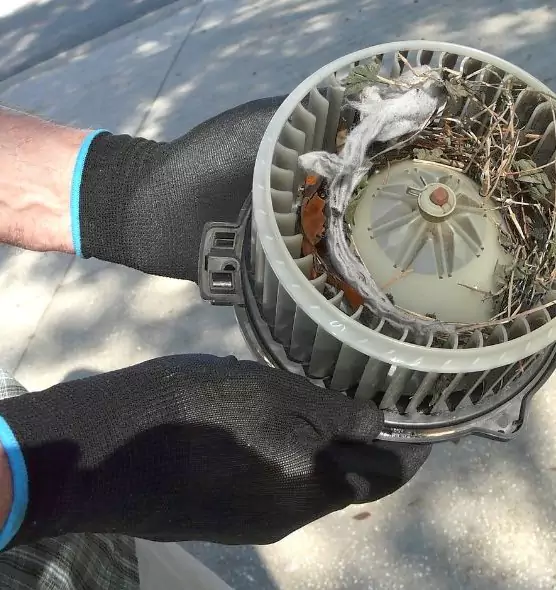 About Air Duct Rat Removal in Las Cruces, NM