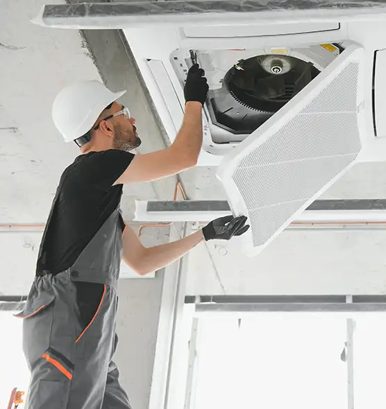 About Air Duct Rodent Removal in Las Cruces, NM