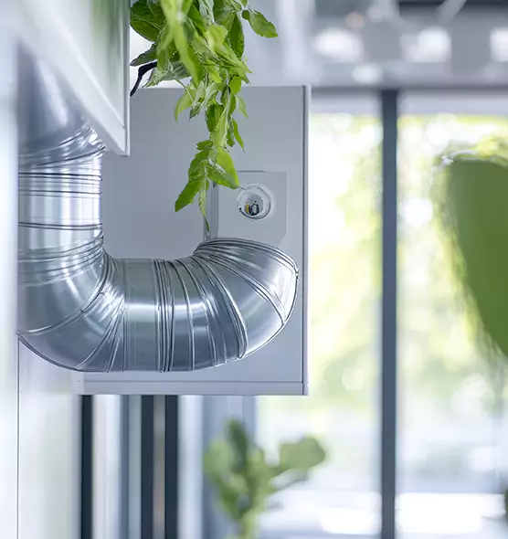 Professional Eco-Friendly Duct Cleaning Services in Las Cruces, NM