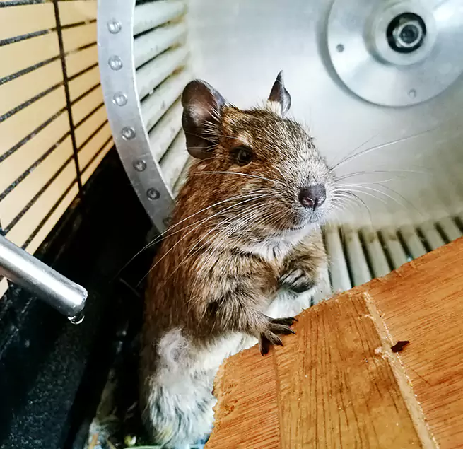 Why Homeowners & Businesses Trust Us Las Cruces, NM?